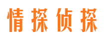 鱼峰市婚外情调查